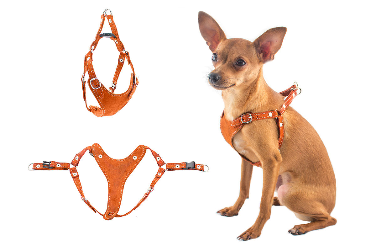 дарэлл 030210 шлейка быстросъемная ева хs замша обхват шеи 19-27см, обхват груди 24-32см