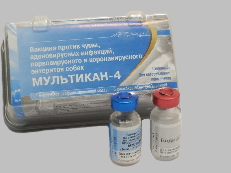 вакцина для собак "мультикан-4" против чумы, аденовирусных инфекций, парвовирусного и коронавирусного энтеритов, 1 доза