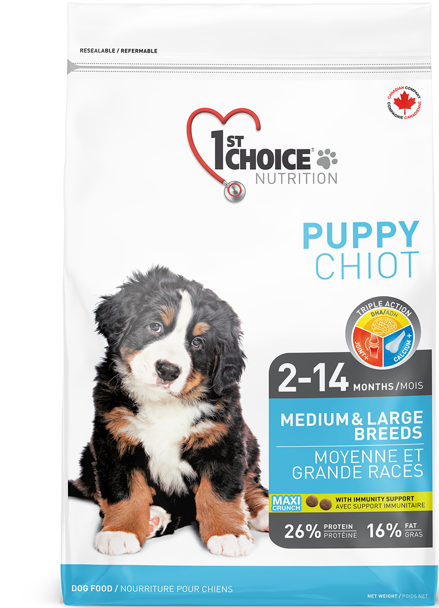 first choice dog food