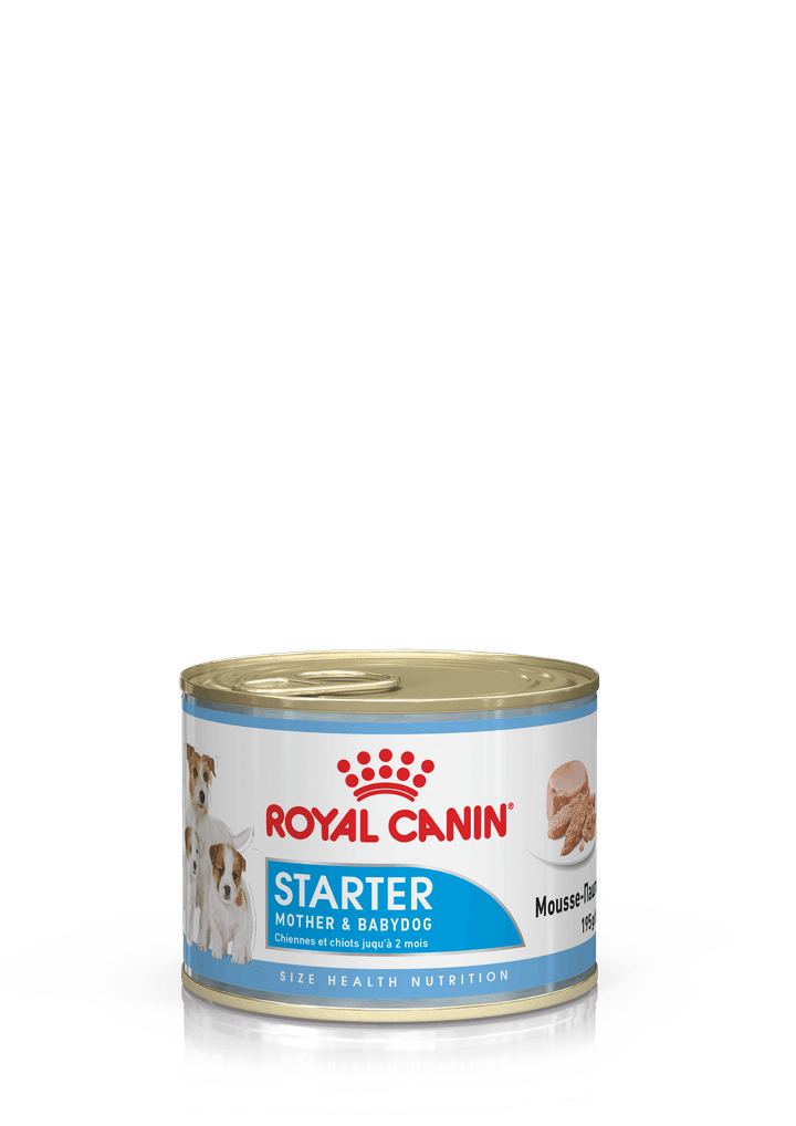 консервы для щенков и беременных и кормящих собак "royal canin starter mousse" (роял канин)