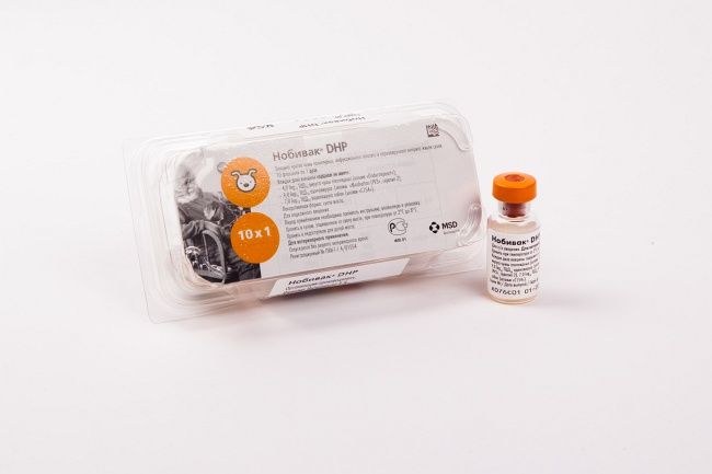 вакцина для собак "нобивак dhp" против чумы плотоядных, инфекционного гепатита и парвовирусной инфекции