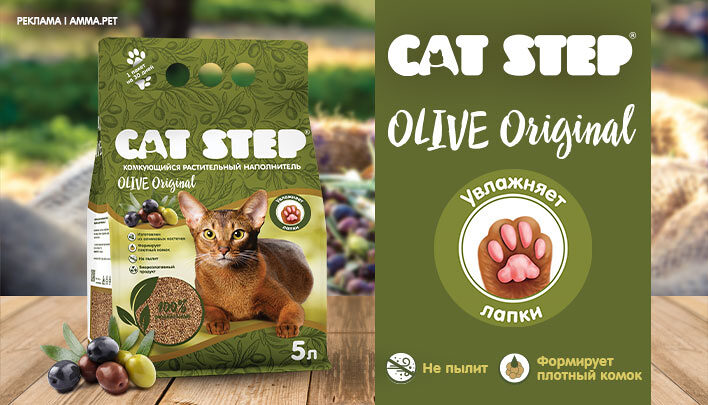 наполнитель для кошачьего туалета "cat step olive original" (кэт степ) комкующийся
