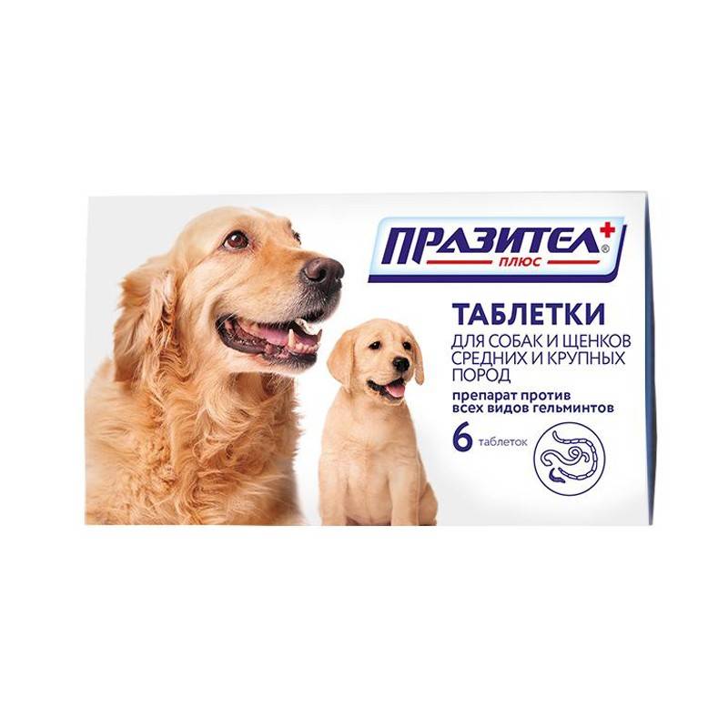 таблетки для собак и щенков средних и крупных пород от 20 кг "празител плюс" глистогонное (6 таблеток)