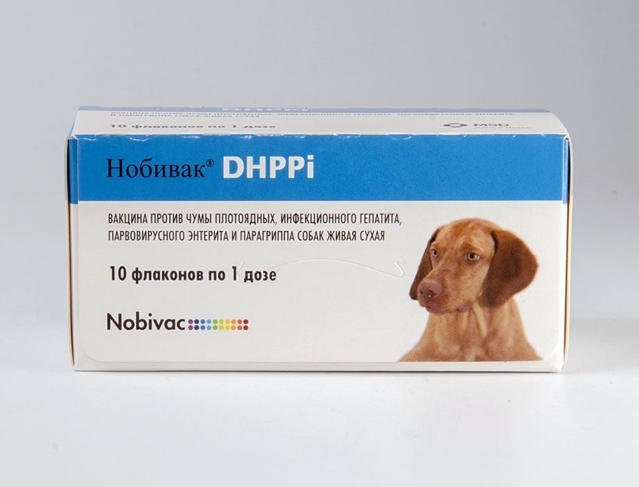 вакцина для собак "нобивак dhppi" против чумы плотоядных, инфекционного гепатита, парвовирусного энтерита и парагриппа собак