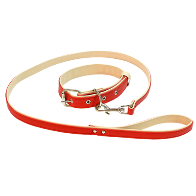 комплект поводок+ошейник "зооник" кожзам двойной