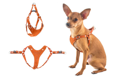 дарэлл 030210 шлейка быстросъемная ева хs замша обхват шеи 19-27см, обхват груди 24-32см