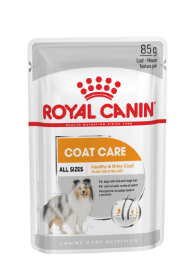 паштет royal canin coat care для собак с тусклой и сухой шерстью