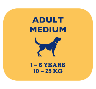 сухой корм для взрослых собак средних пород "brit premium dog adult medium" (брит м) с курицей
