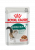 консервы royal canin instinctive +7 в соусе для пожилых кошек